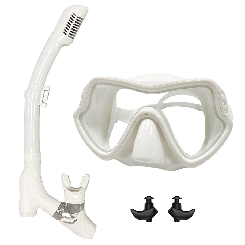 QYQ Diving Mask Professional S - đánh giá và giá Snorkel Mask Full Face
