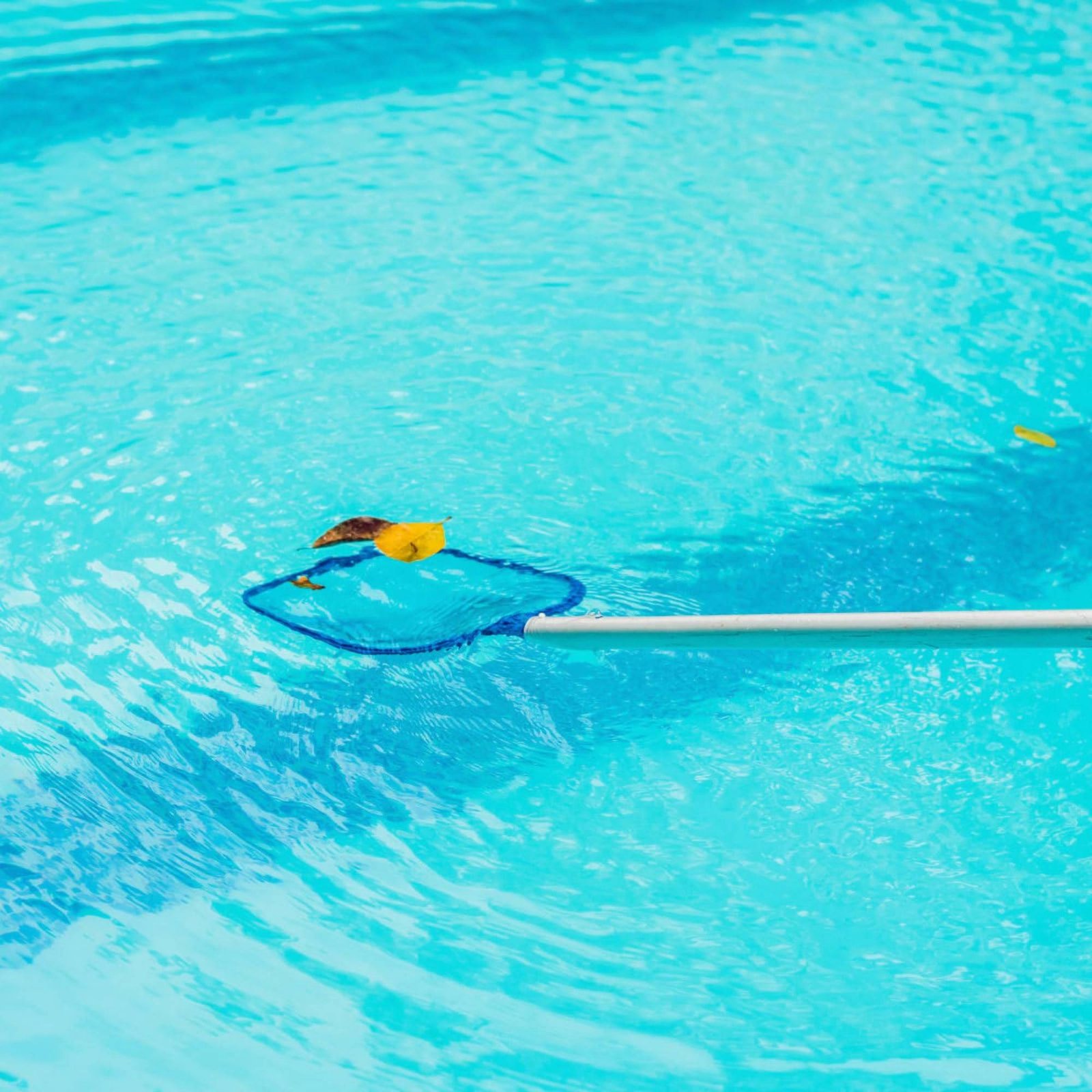 Detachable Pool Foliage Net Ea - đánh giá và giá Pool Skimmer Net