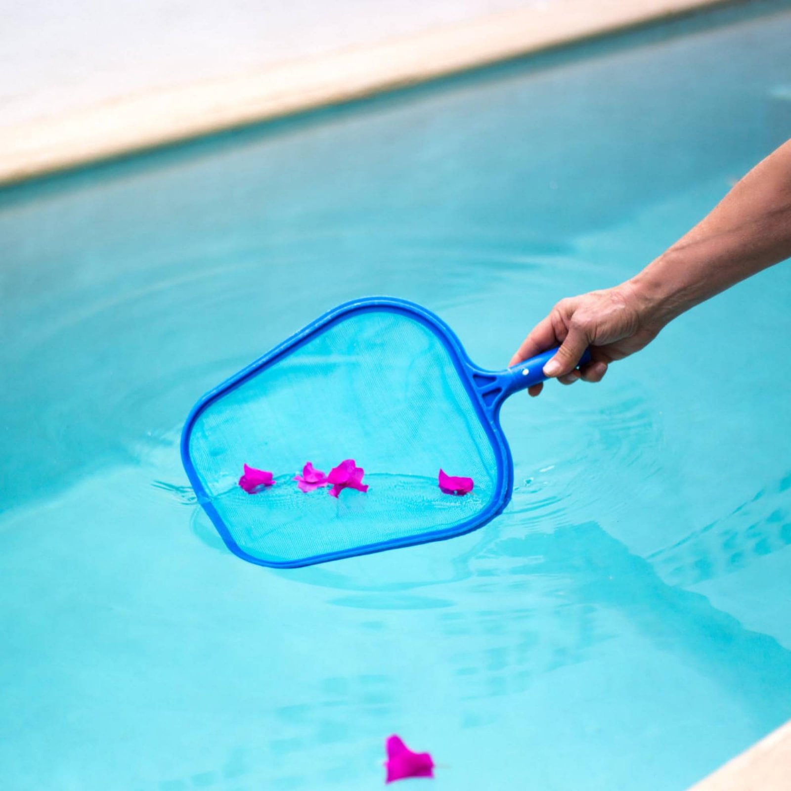 Detachable Pool Foliage Net Ea - đánh giá và giá Pool Skimmer Net
