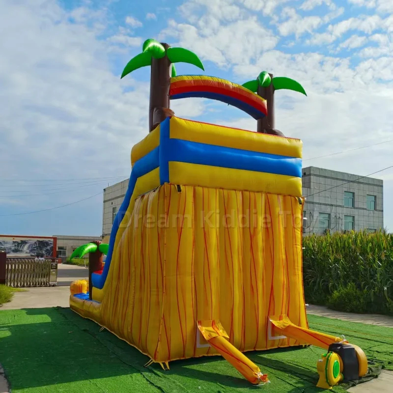 Giant Tropical Dolphin Theme I - đánh giá và giá Water Slide Inflatable